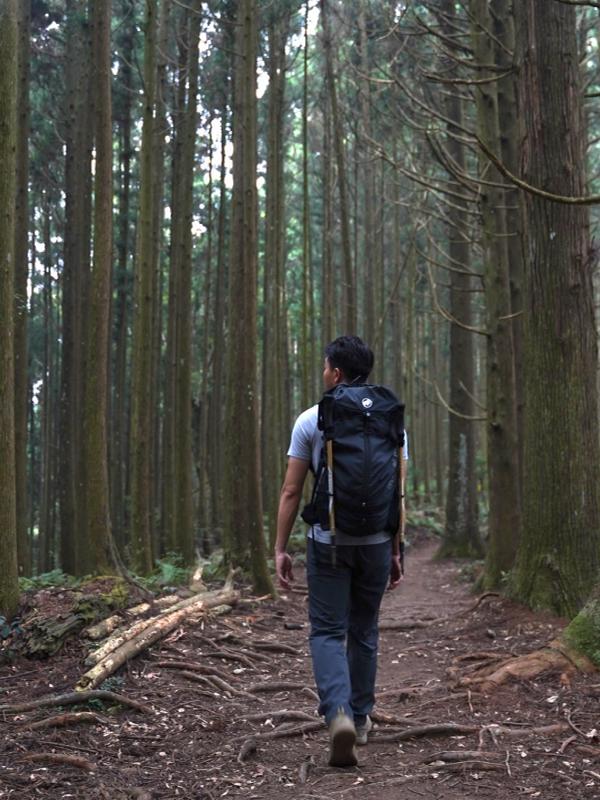 mammut猛犸象背包评测,了解下适合情侣背的登山包